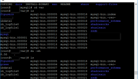 MYSQL 故障导致服务器WEB无法访问