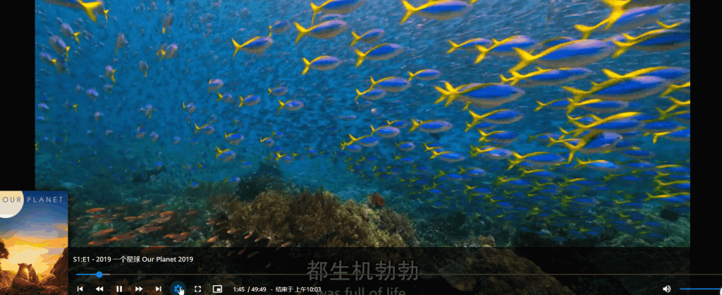 DS918+ docker 安装 jellyfin 报错 DS918+ docker 安装 jellyfin 报错